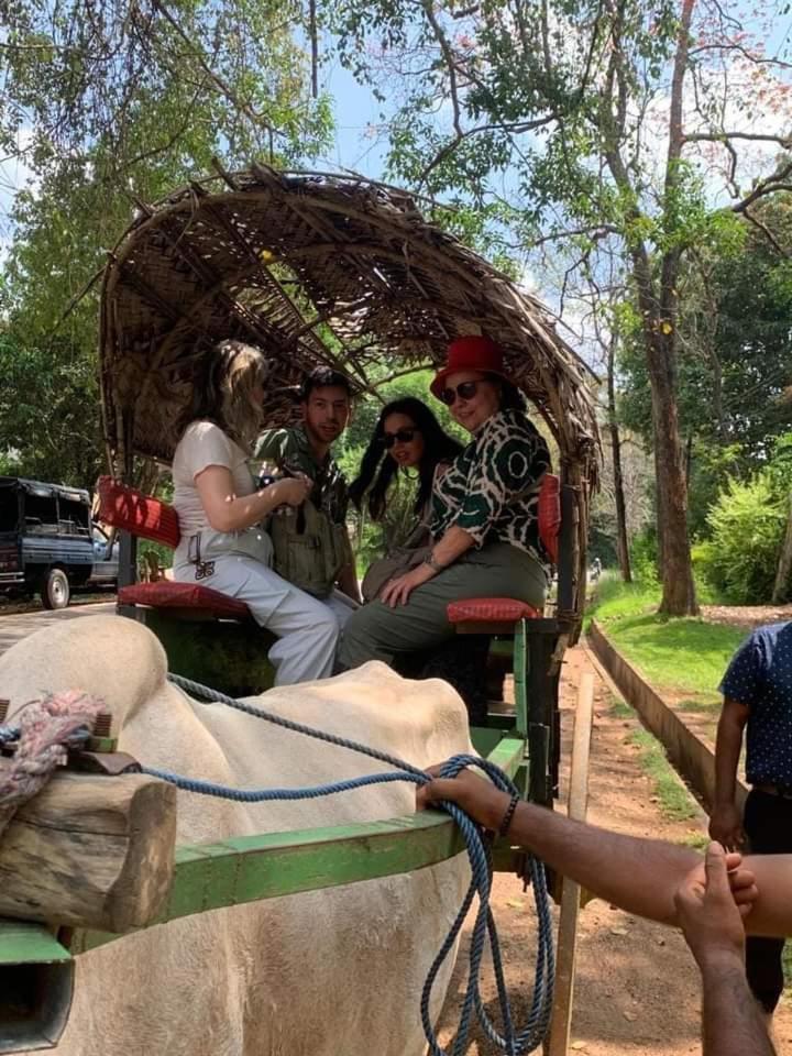 Elephant Safari Lodge Sigiriya Junction Habarana Zewnętrze zdjęcie