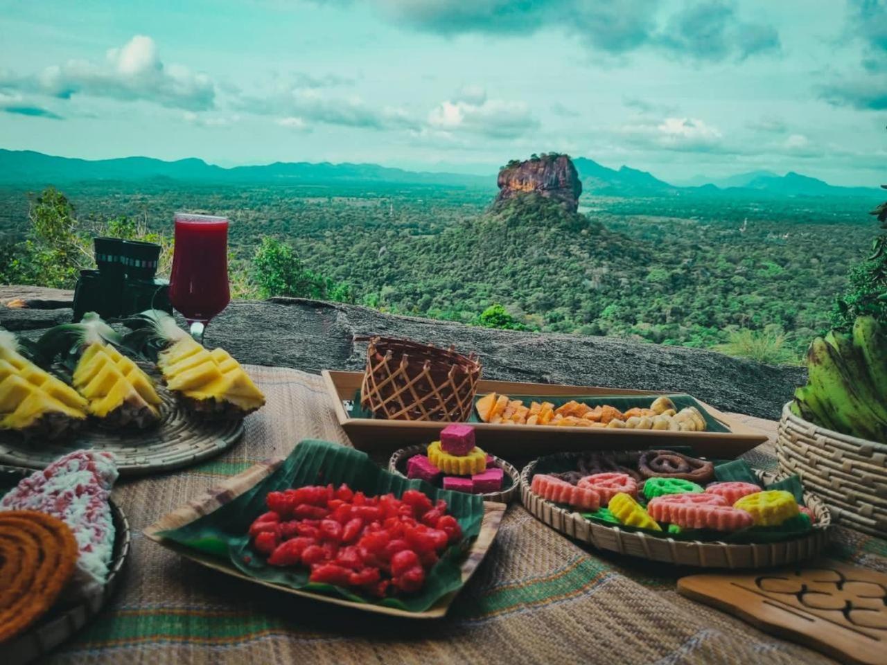 Elephant Safari Lodge Sigiriya Junction Habarana Zewnętrze zdjęcie