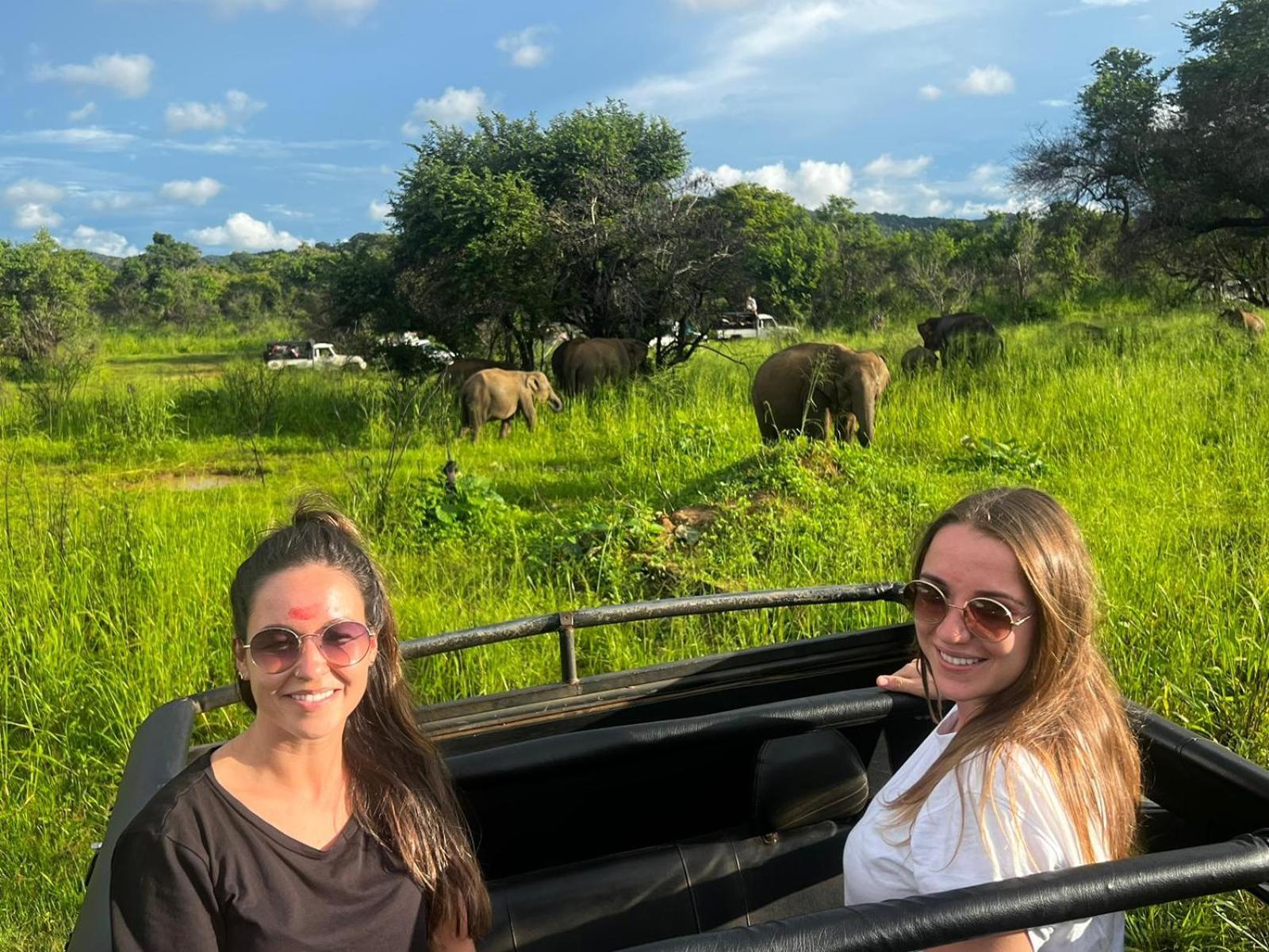 Elephant Safari Lodge Sigiriya Junction Habarana Zewnętrze zdjęcie