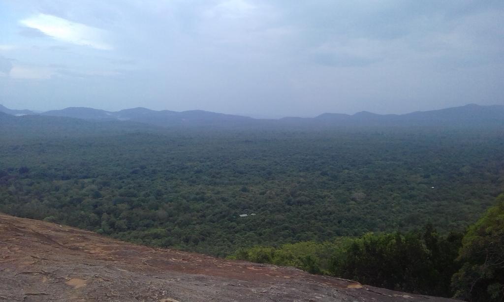 Elephant Safari Lodge Sigiriya Junction Habarana Zewnętrze zdjęcie