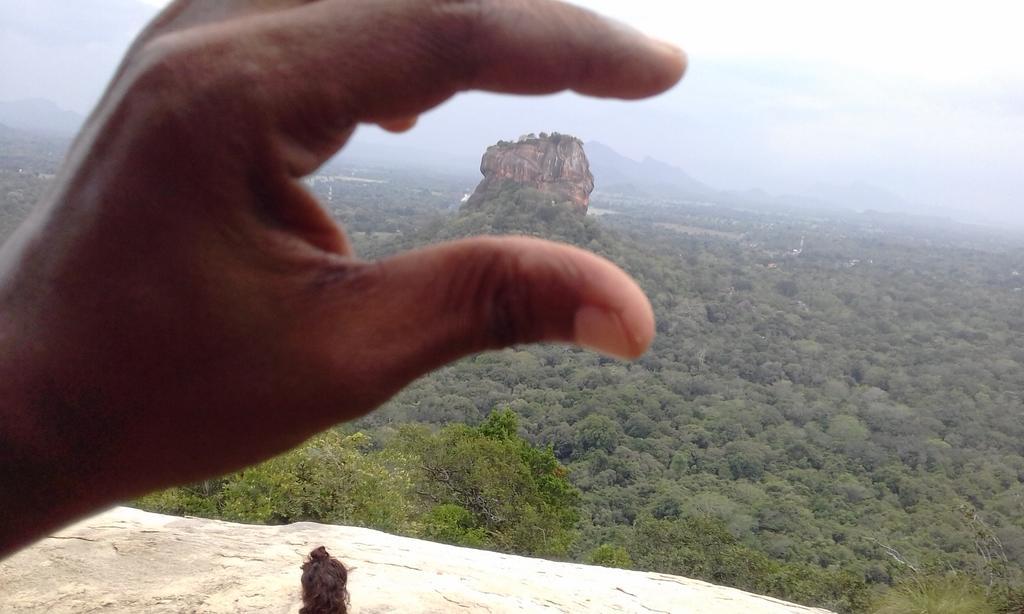 Elephant Safari Lodge Sigiriya Junction Habarana Zewnętrze zdjęcie